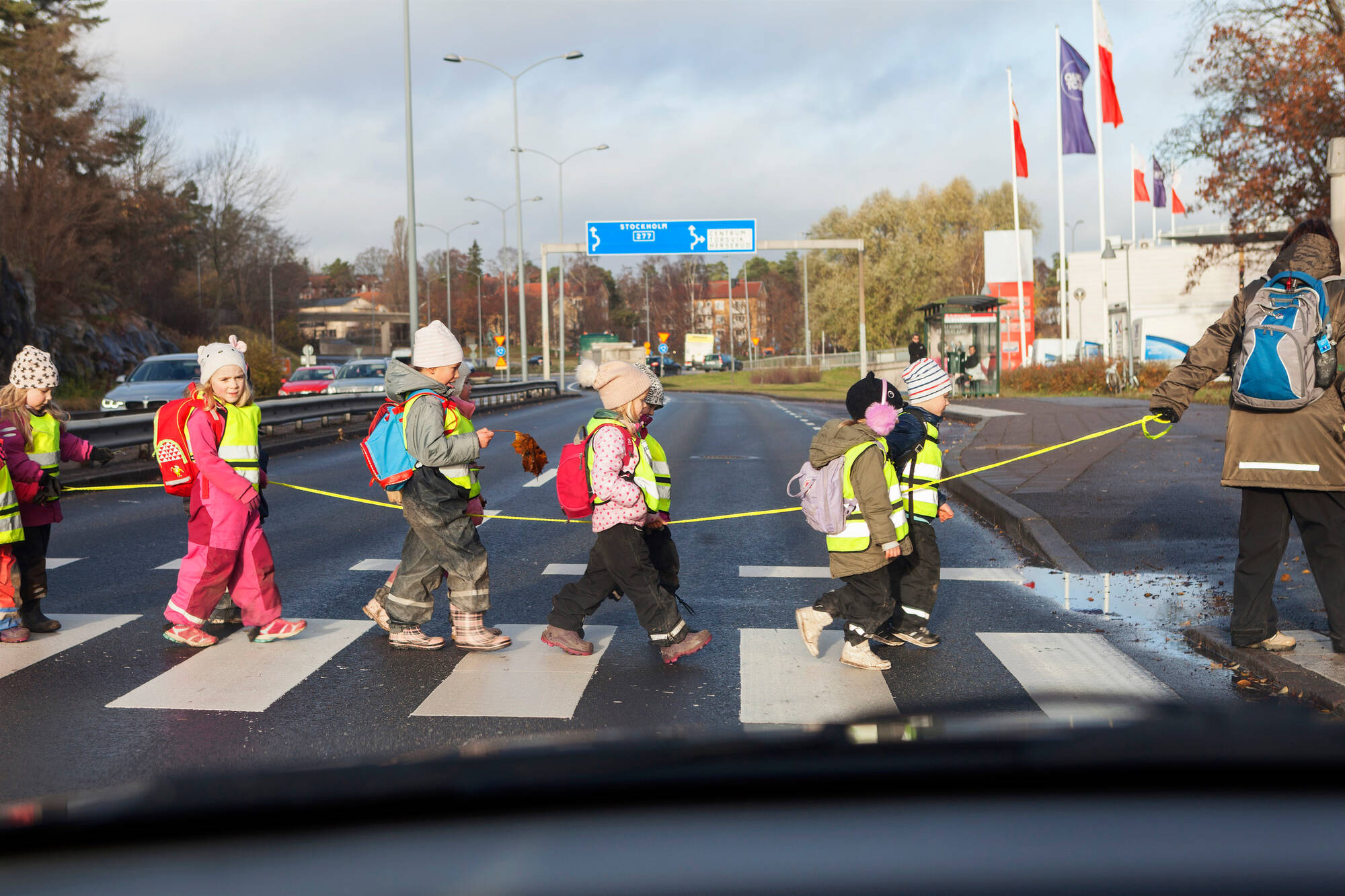 Ficklampa lyser på en reflex